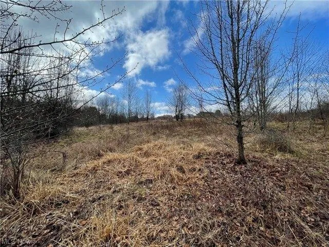 Plot For Sale In Carrollton, Ohio