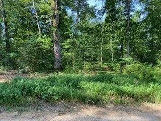 Plot For Sale In Hohenwald, Tennessee