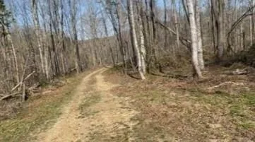 Plot For Sale In Baxter, Tennessee