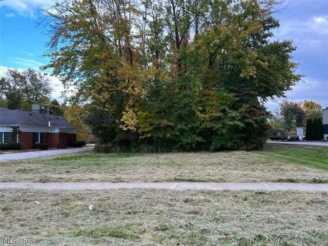Plot For Sale In Madison, Ohio