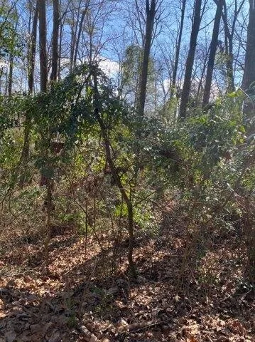 Plot For Sale In Cullman, Alabama