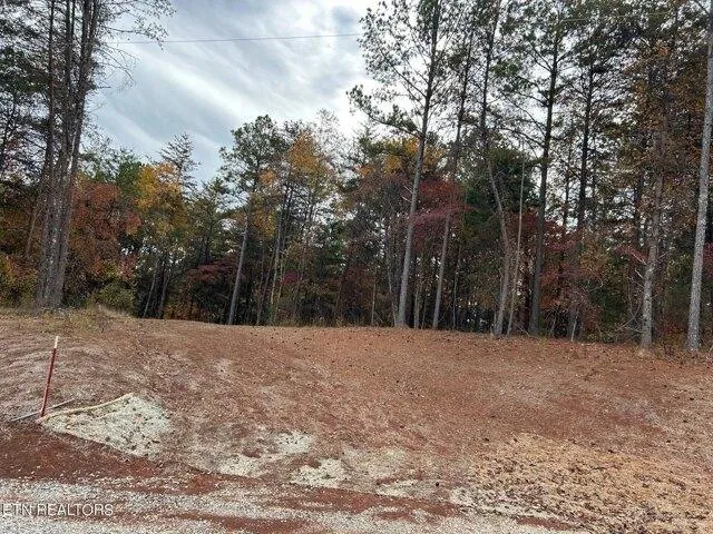 Plot For Sale In Madisonville, Tennessee