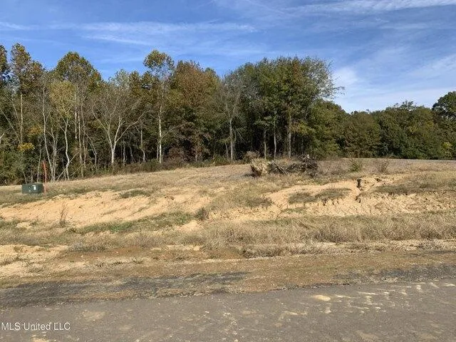 Plot For Sale In Byhalia, Mississippi