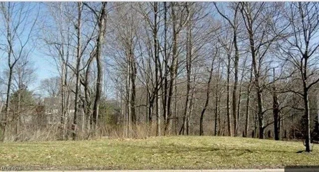 Plot For Sale In Hudson, Ohio