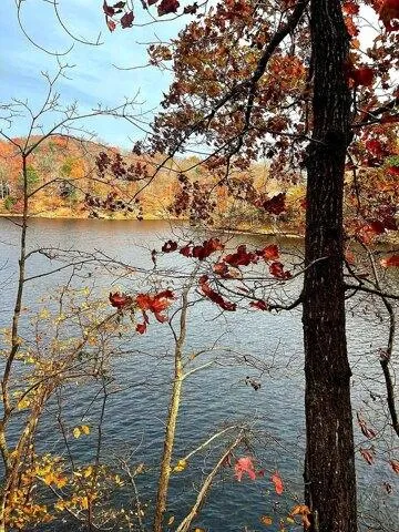 Plot For Sale In Lewisburg, Kentucky
