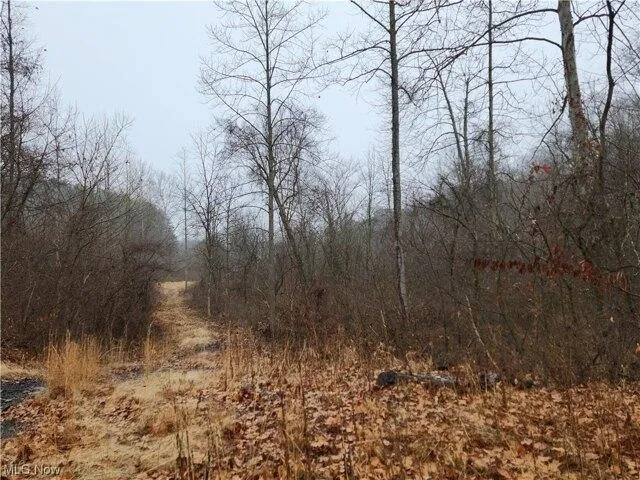 Plot For Sale In New Straitsville, Ohio