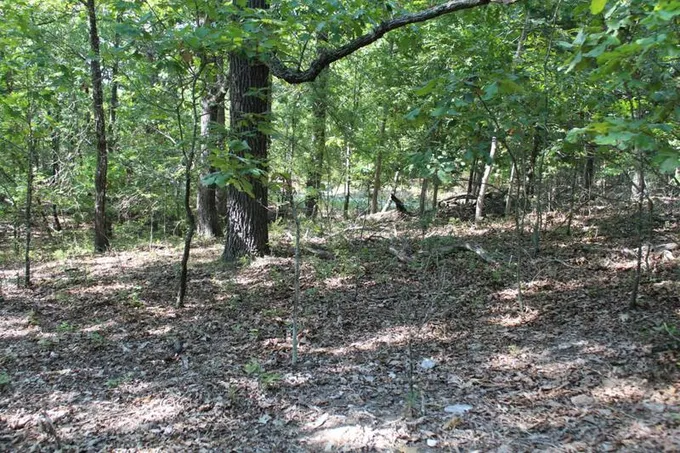 000 EAGLE RIDGE ROAD LOT 28 ROAD, Protem, MO 65733 Land For Sale  MLS# 60207638