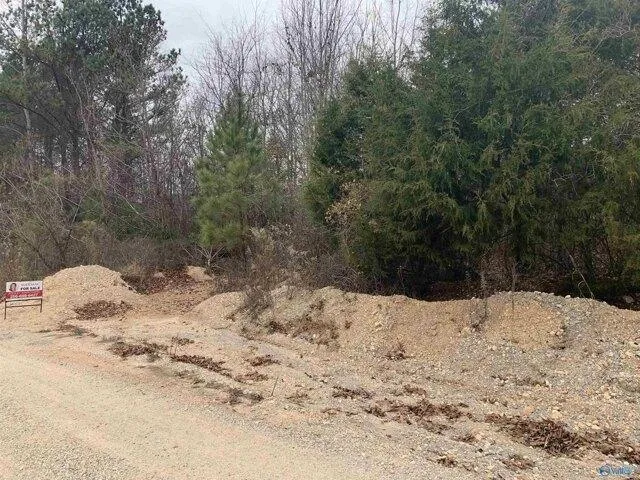 Plot For Sale In Remlap, Alabama