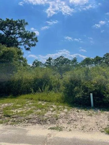 Plot For Sale In Carrabelle, Florida
