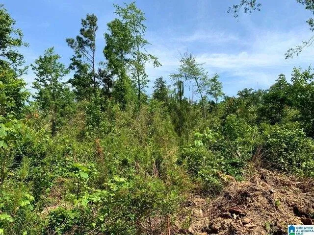 Plot For Sale In Fruithurst, Alabama