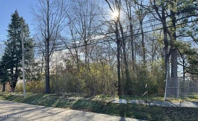 Plot For Sale In Pelahatchie, Mississippi