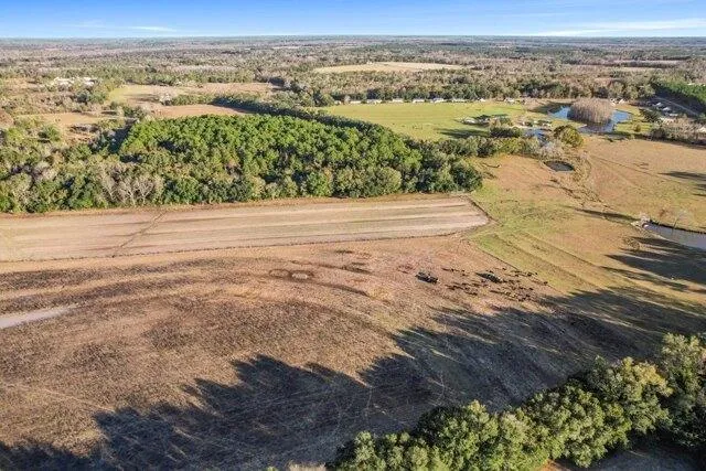 Plot For Sale In Slocomb, Alabama