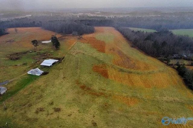 Plot For Sale In Ardmore, Tennessee