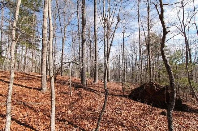 Plot For Sale In Saluda, North Carolina