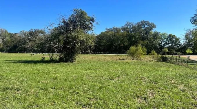 Lot 4 Cr 319, Navasota, TX 77868 - MLS 53363725 for Sale