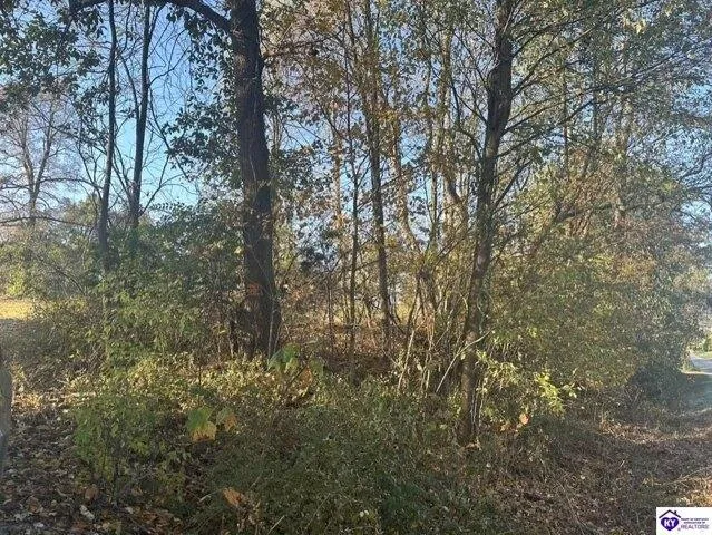 Plot For Sale In Glendale, Kentucky