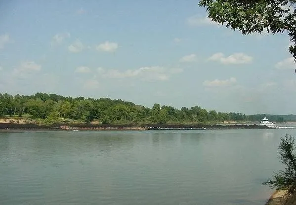 Plot For Sale In Savannah, Tennessee