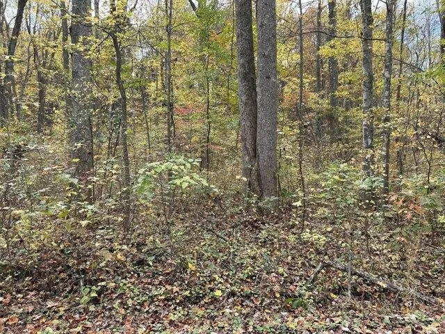 Plot For Sale In Clay City, Kentucky