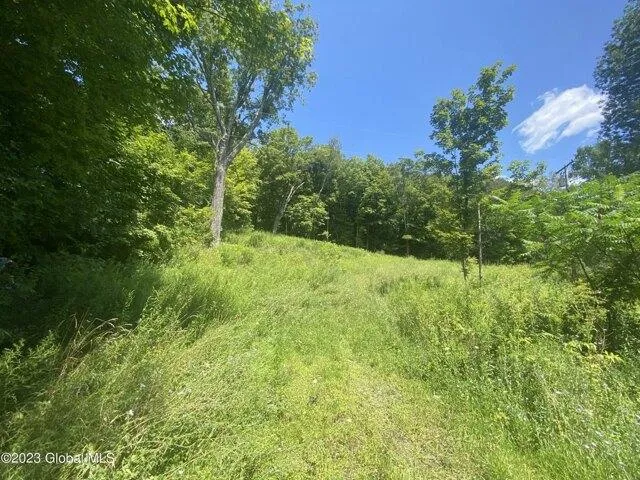 Plot For Sale In Putnam Station, New York