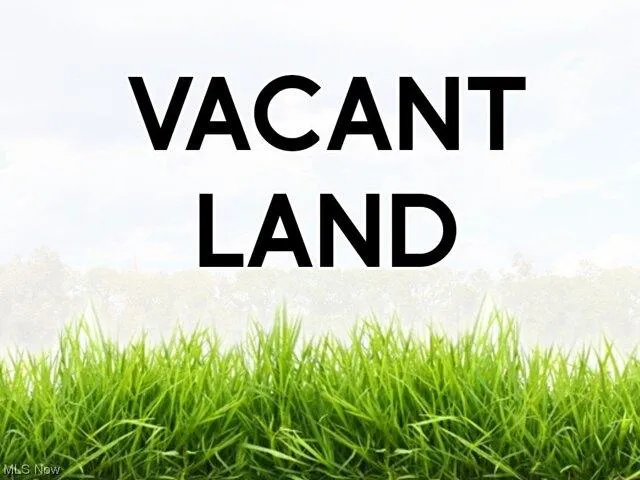 Plot For Sale In Grand River, Ohio