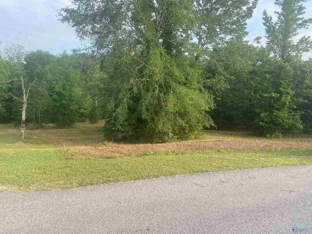 Plot For Sale In Hokes Bluff, Alabama