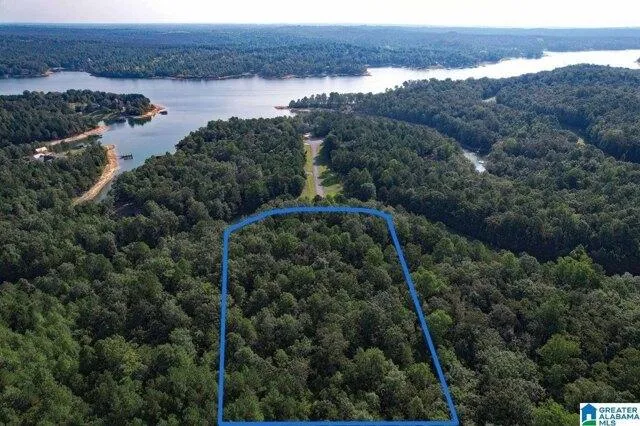 Plot For Sale In Double Springs, Alabama