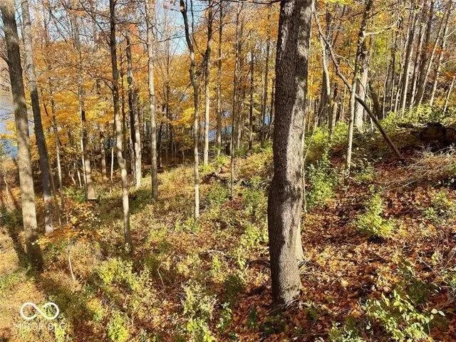 Plot For Sale In Indianapolis, Indiana
