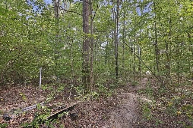Plot For Sale In Fairview, Tennessee