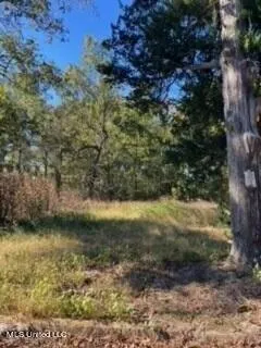 Plot For Sale In Sardis, Mississippi