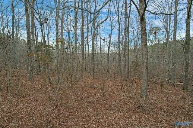 Plot For Sale In Moulton, Alabama