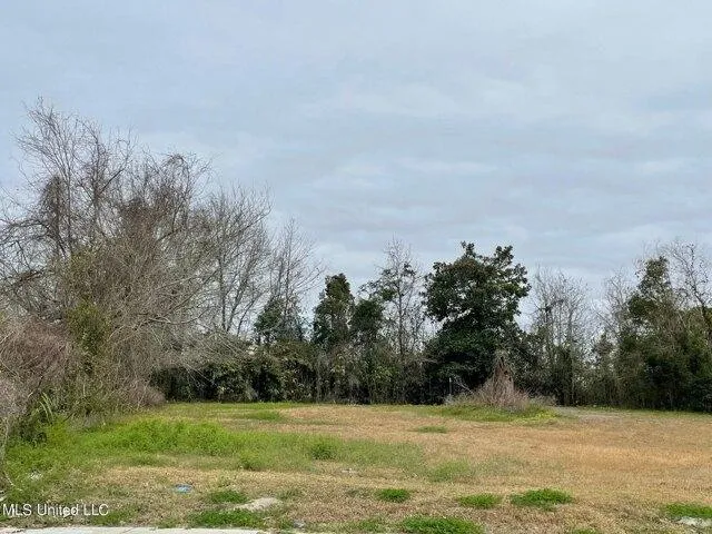 Plot For Sale In Biloxi, Mississippi