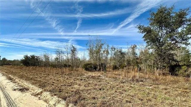 Plot For Sale In Williston, Florida