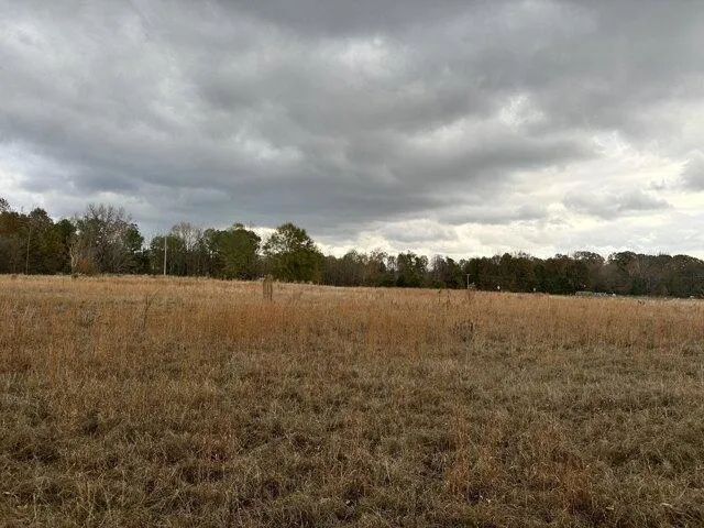 Plot For Sale In Grenada, Mississippi