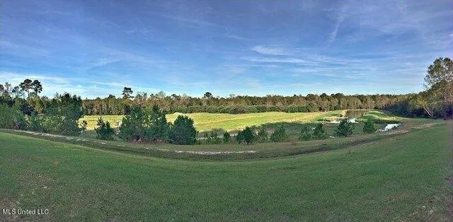 Plot For Sale In Puckett, Mississippi