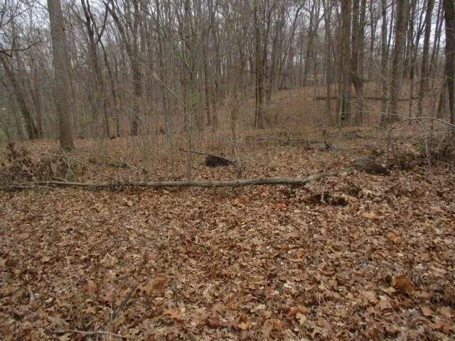 Plot For Sale In Butler, Kentucky
