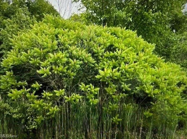 Plot For Sale In Boardman, Ohio