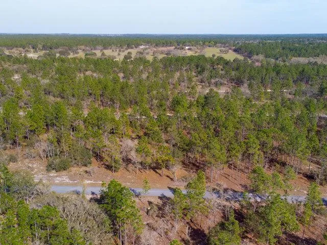 Florida Land for Sale, 0.25 Acres