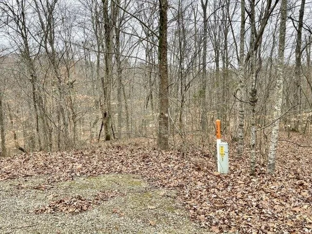 Plot For Sale In Nancy, Kentucky