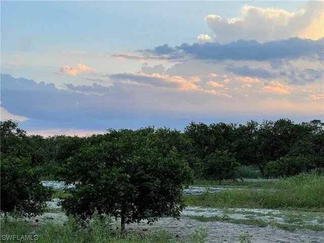Plot For Sale In Labelle, Florida