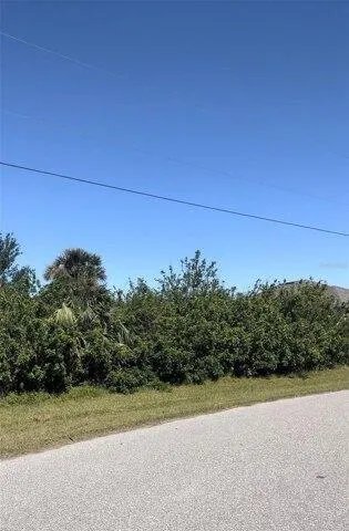 Plot For Sale In Rotonda West, Florida