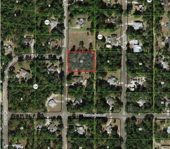 Plot For Sale In Beverly Hills, Florida