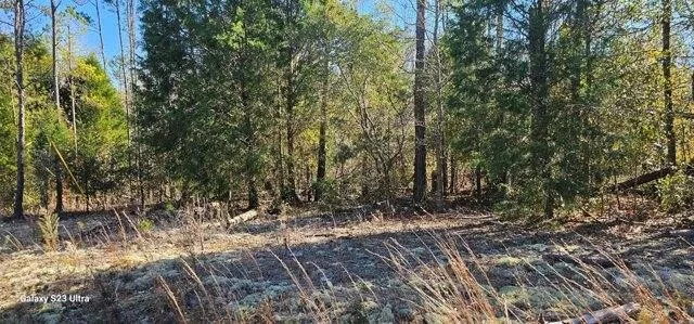 Plot For Sale In Georgetown, Georgia