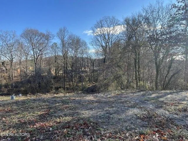 Plot For Sale In Harriman, Tennessee