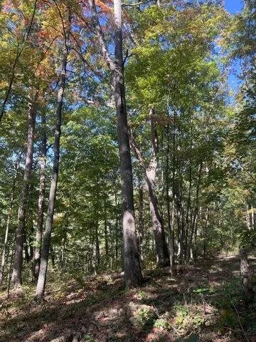 Plot For Sale In Jeffersonville, Kentucky