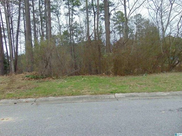 Plot For Sale In Alabaster, Alabama