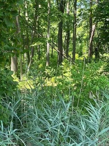 Plot For Sale In Macomb Township, Michigan