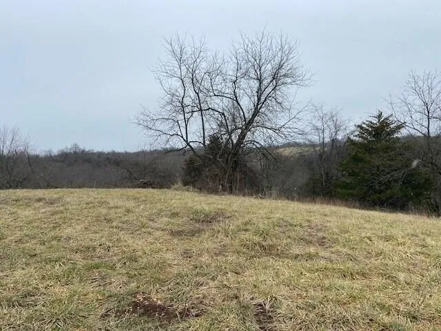 Plot For Sale In Mount Olivet, Kentucky