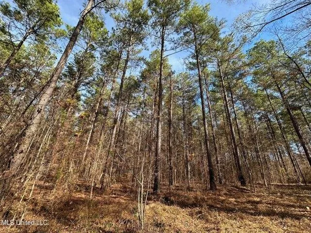Plot For Sale In Terry, Mississippi