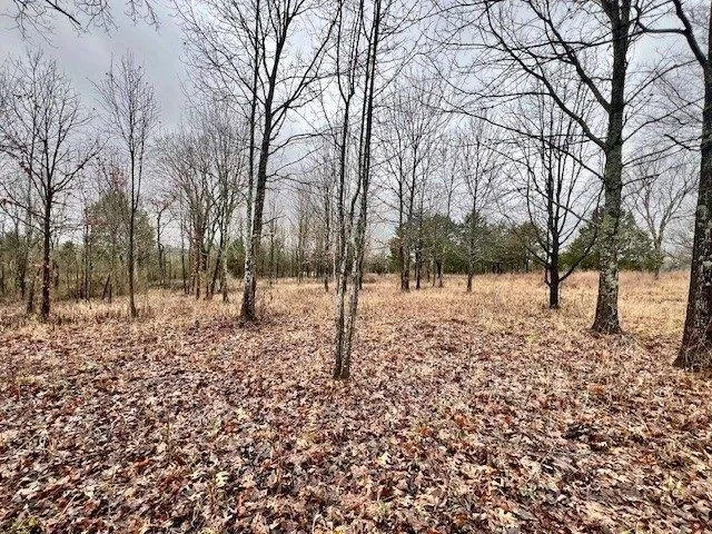 Plot For Sale In Lebanon, Tennessee