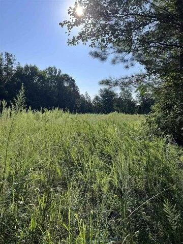 Plot For Sale In Tuscumbia, Alabama